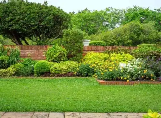 landscaping services Port Chester